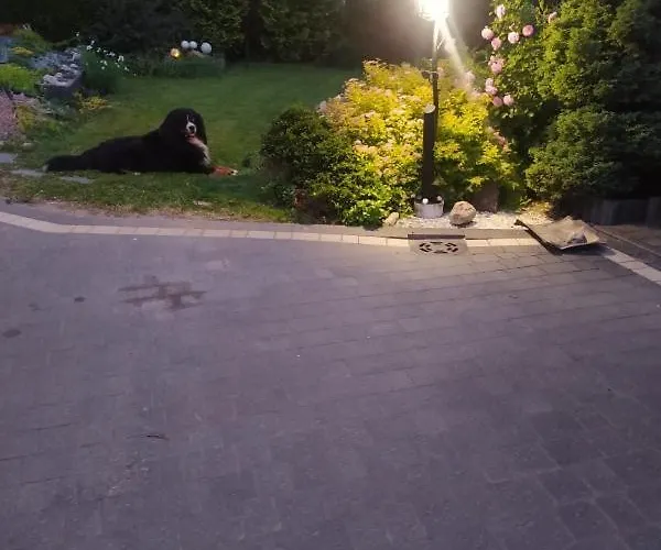 Ewka Casa di campagna Czarna Góra